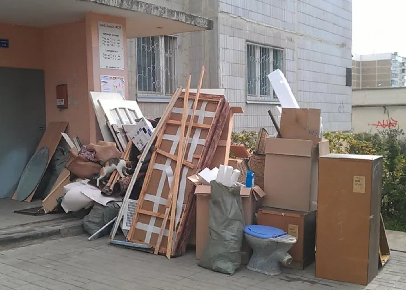 Профессиональный вывоз мусора из квартиры в Устях-Джегуте в октябре