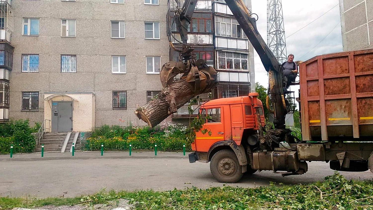 Вывоз спиленных веток и деревьев в Устях-Джегуте от ПроМусор: порубочные остатки, утилизация, цена от 2936 руб