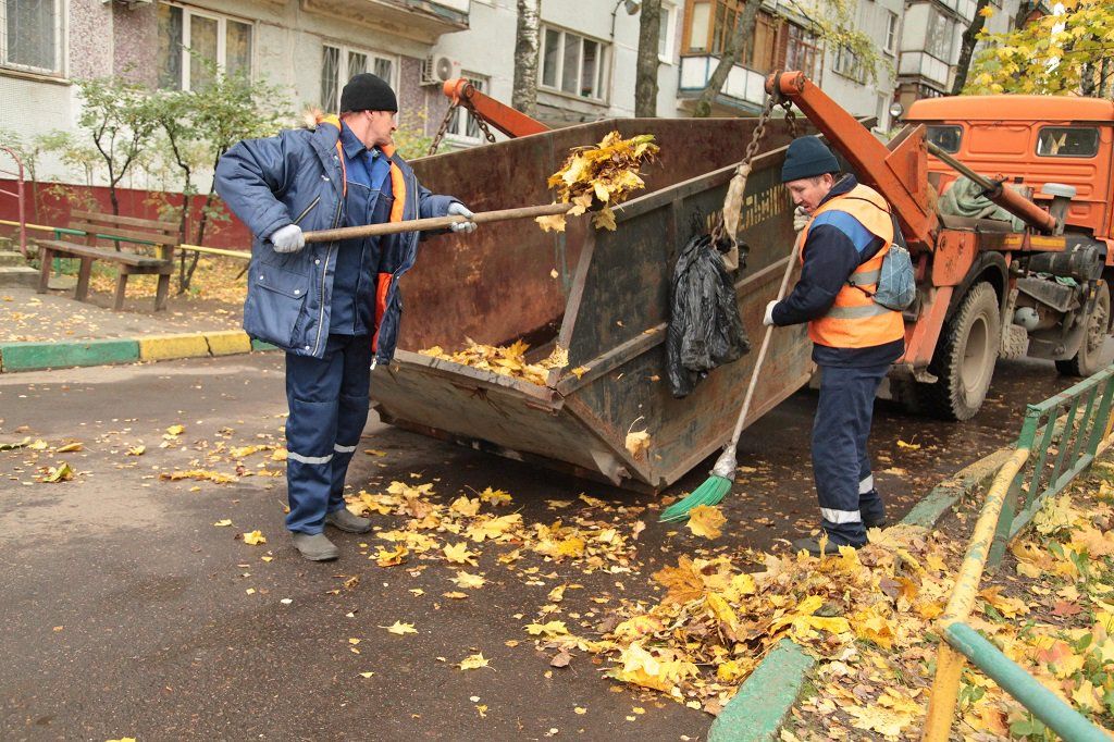 Вывоз опавшей листвы и растительного мусора в Устях-Джегуте от ПроМусор – цена от 4555 руб., быстрая уборка и утилизация